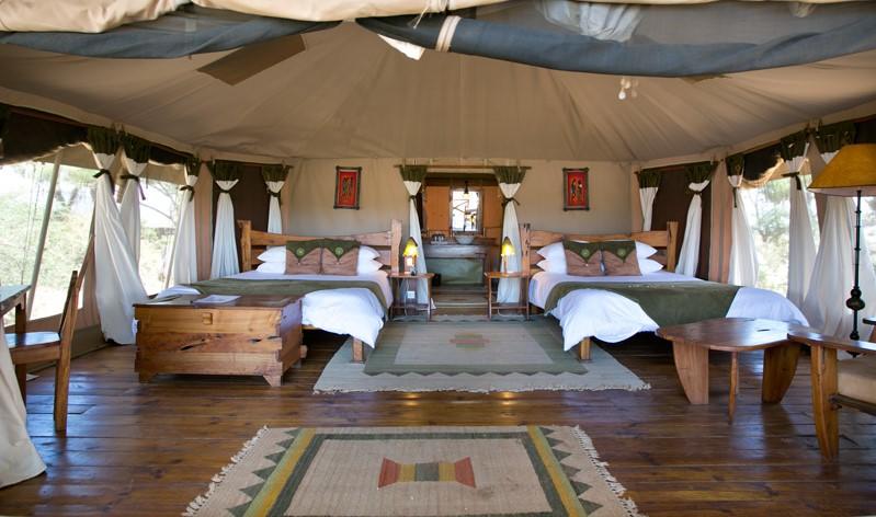 Elephant Bedroom Camp Twin Tent