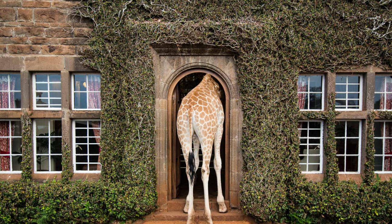 Giraffe Manor Entrance
