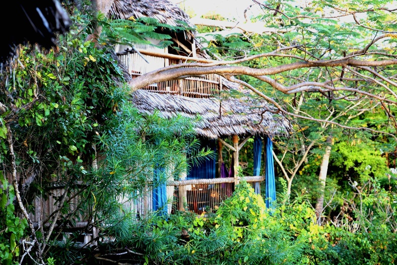 Chole Mjini Lodge Treehouse Mbili exterior view