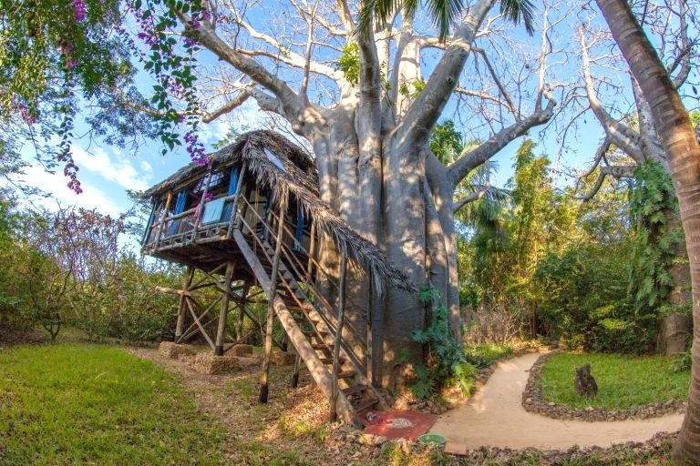Chole Mjini Lodge Treehouse Mbili