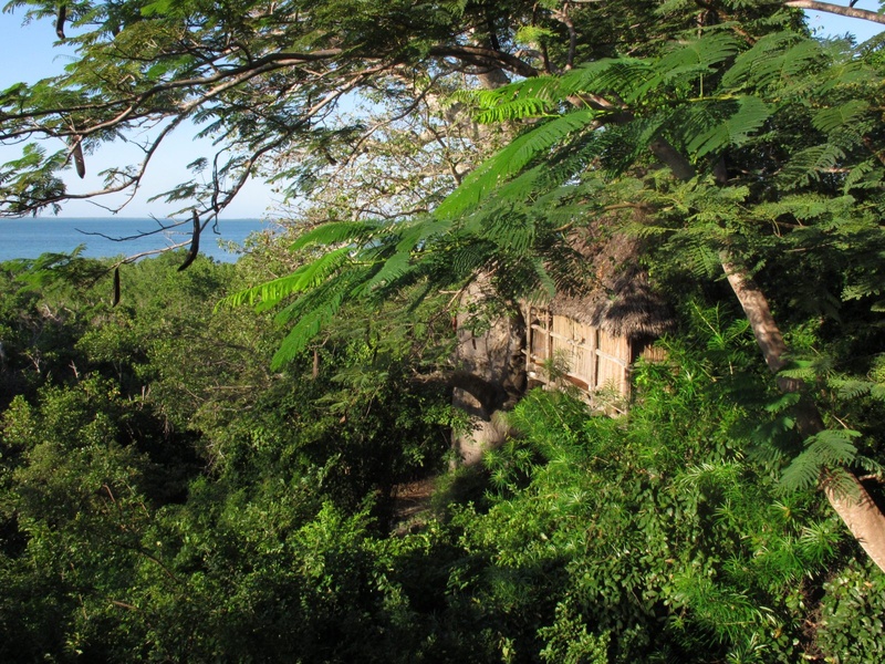 Chole Mjini Lodge - Treehouse Moja exterior view
