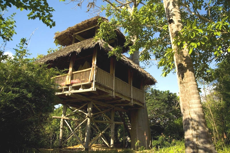 Chole Mjini Lodge Treehouse Nne exterior view 1