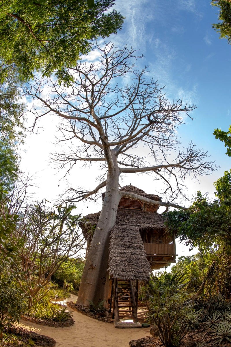 Chole Mjini Lodge Treehouse Nne exterior view