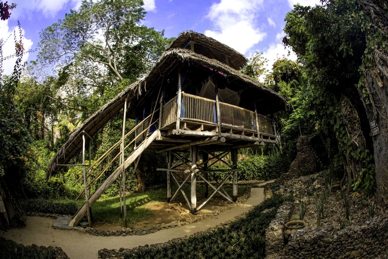 Chole Mjini Lodge Treehouse Tano exterior view