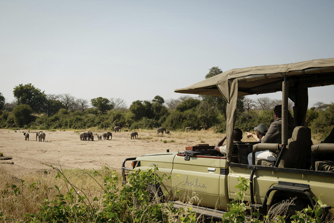 Kwihala Camp game viewing drives elephants spotted