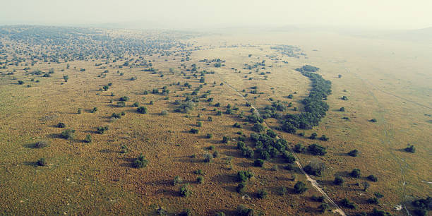 Akagera National Park Rwanda Aerial View of The Plains