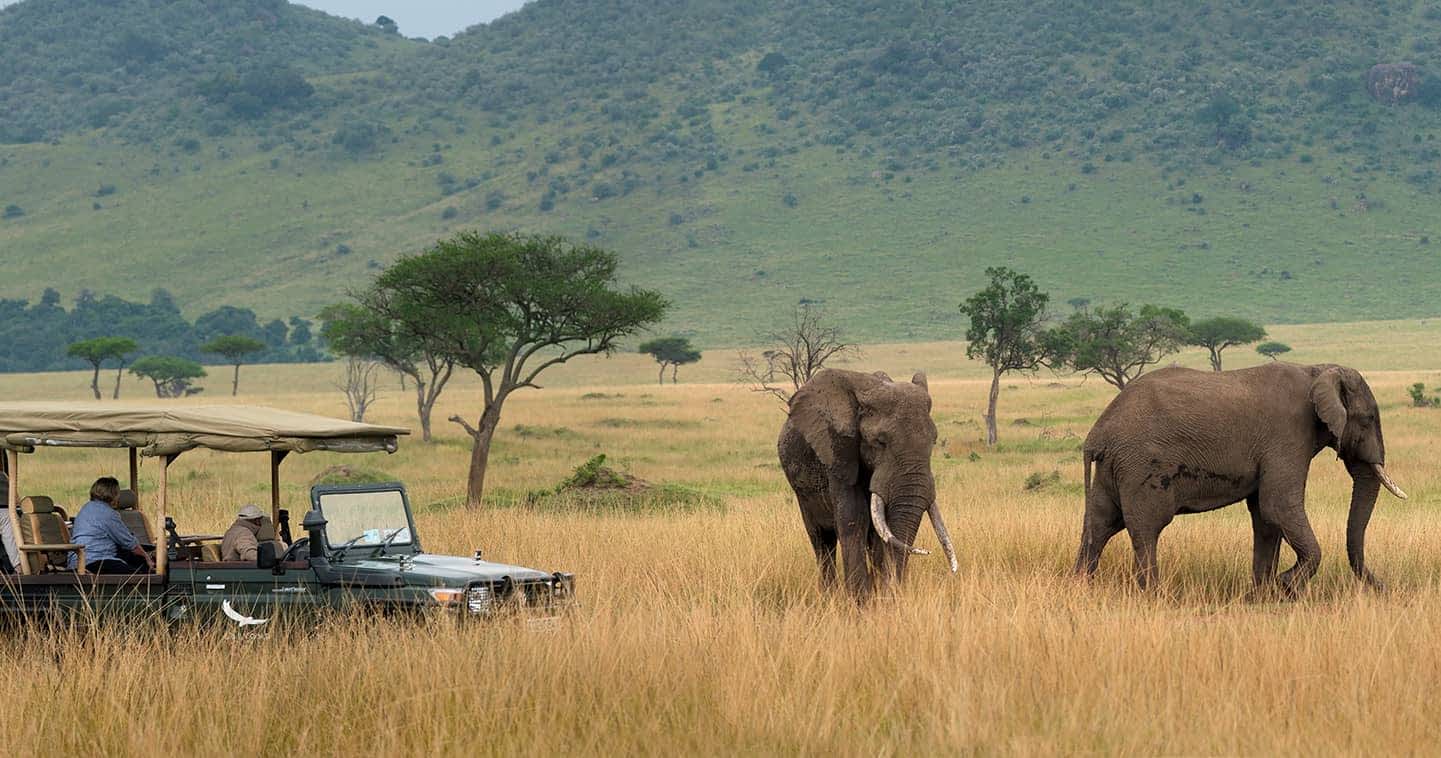 Mara Triangle Conservancy Game - Drive Elephants