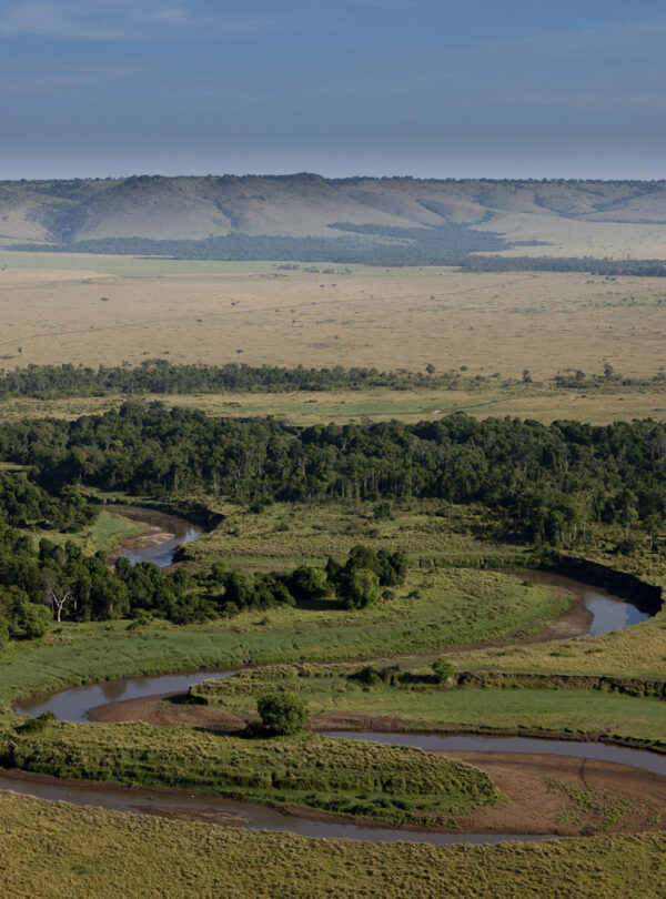 Afrique, Kenya, Réserve de Masai-Mara, riviere Mara, vue aerienne