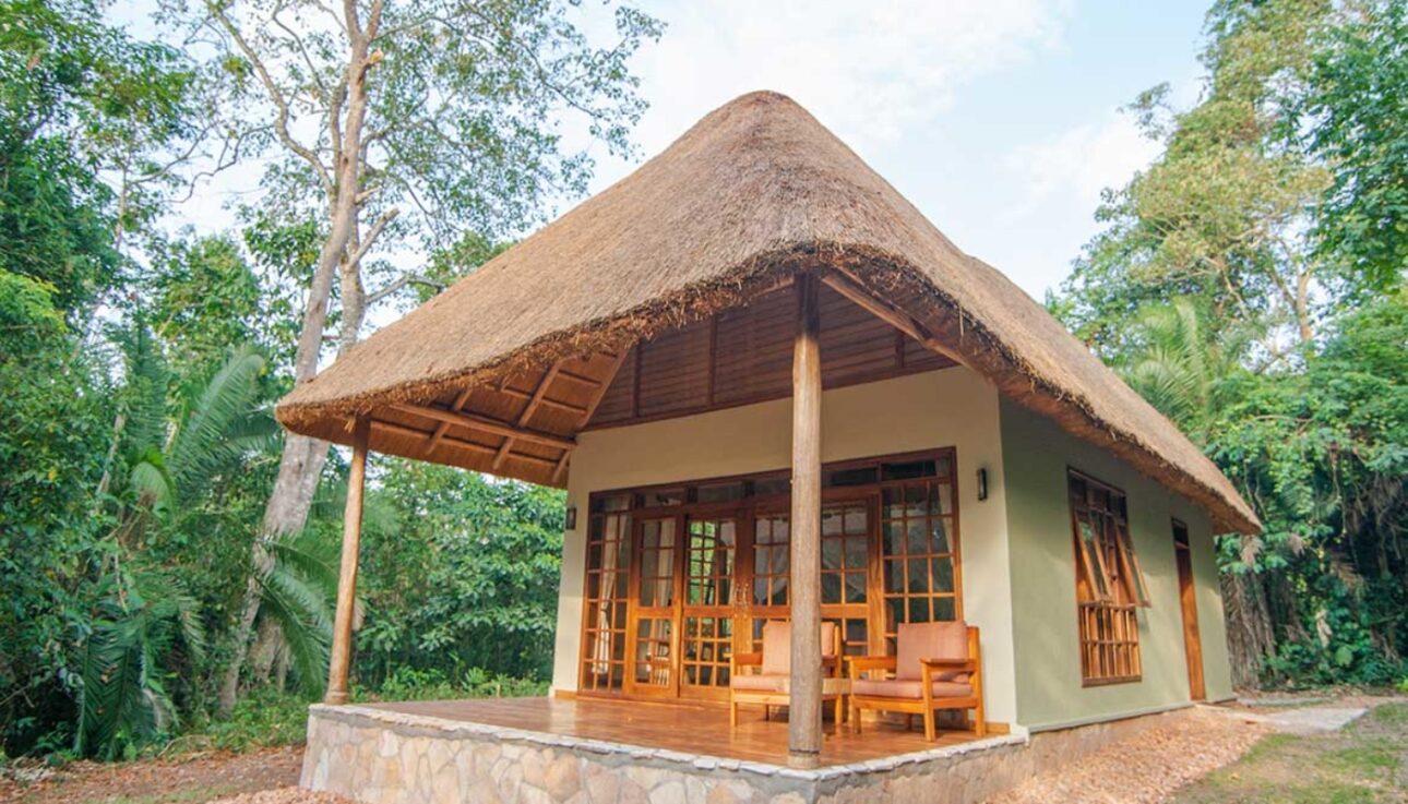 Primate Lodge Kibale Guest Room Exterior View Day