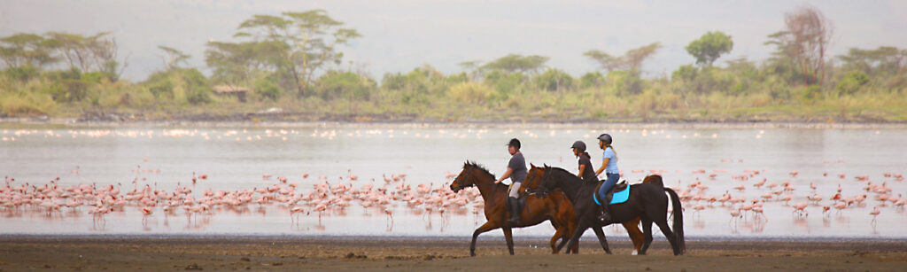 Soysambu Conservancy Lakeshore Horse Riding