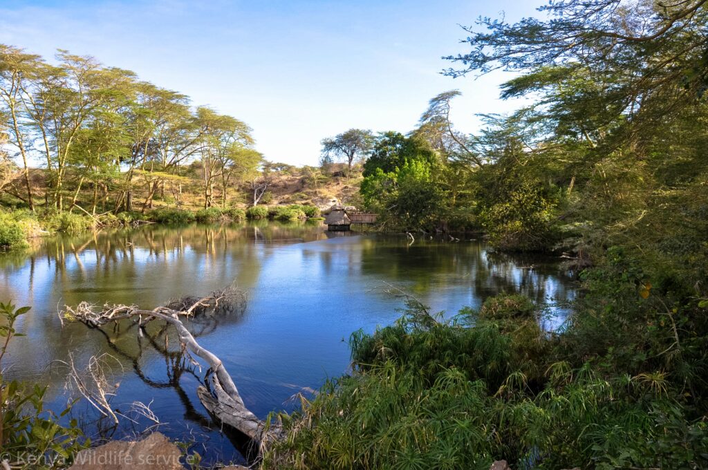 Tsavo West National Park Mzima Springs
