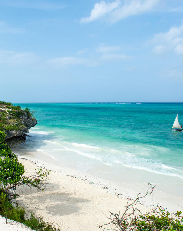 Zawadi Hotel Zanzibar private beach dhow in view